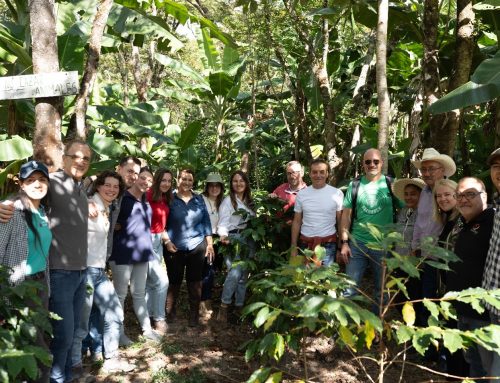 Brewing Hope : Guest Supply et la Fondation Safai soutiennent les communautés de caféiculteurs du Honduras